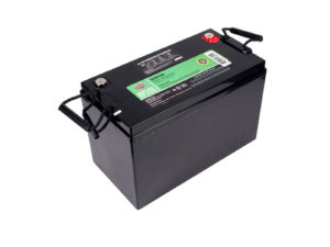 DCM0100 12V AGM Battery