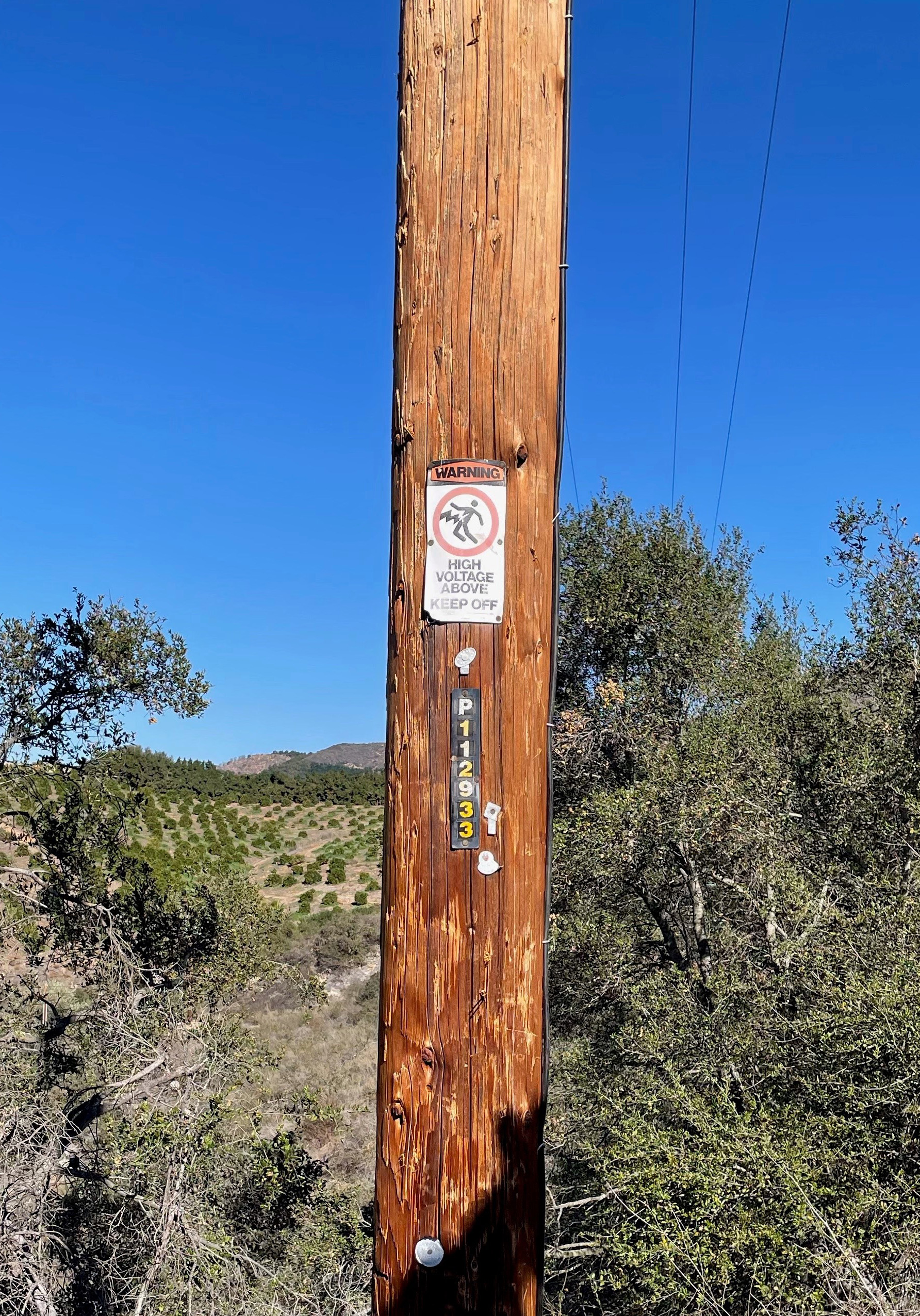 Danger Sign on Pole